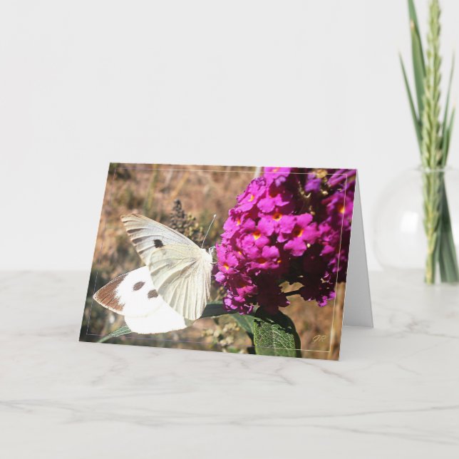 Butterfly. Greeting card. Card (Front)