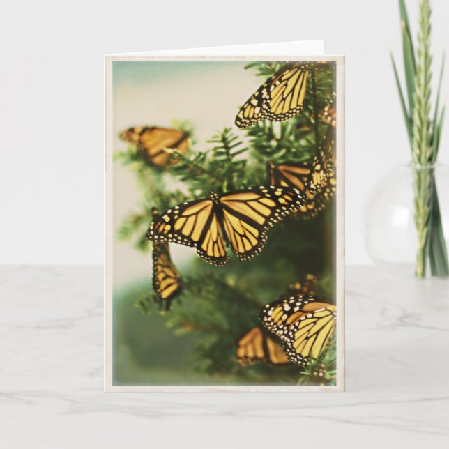 Butterfly Greetings - Blank Greeting Card (Front)
