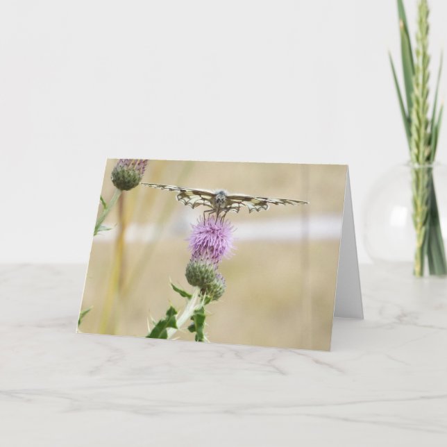 Butterfly Greetings Card (Front)