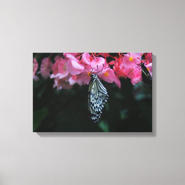 Butterfly Hanging from Flowers Canvas Print (Front)