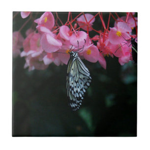 Butterfly Hanging from Flowers Tile