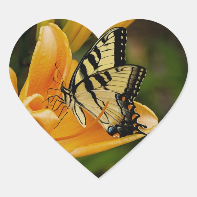 Butterfly Heart Sticker (Front)