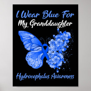 Butterfly I Wear Blue For My Granddaughter Hydroce Poster