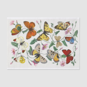 Butterfly Illustration Tissue Paper