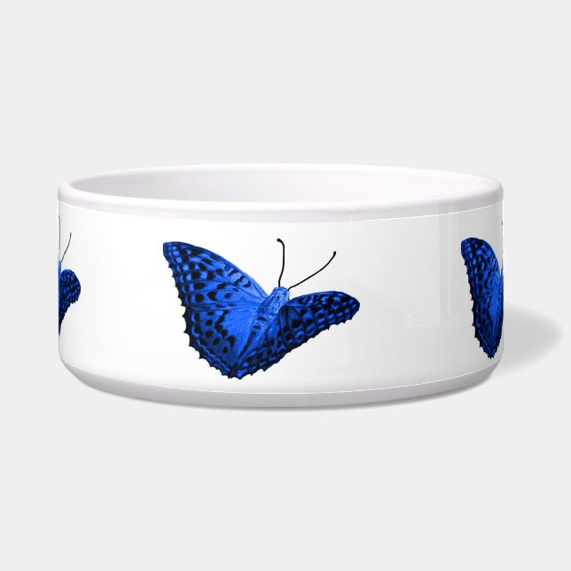 Butterfly in black and blue design (Front)