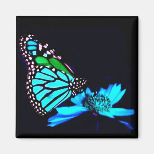 Butterfly in Blue Light Magnet