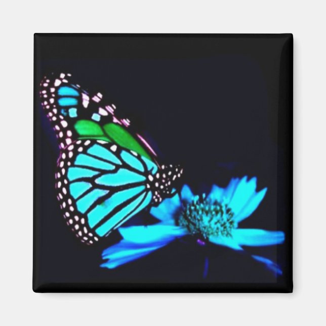 Butterfly in Blue Light Magnet (Front)