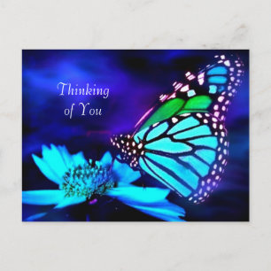 Butterfly in Blue Light - Thinking of You Postcard