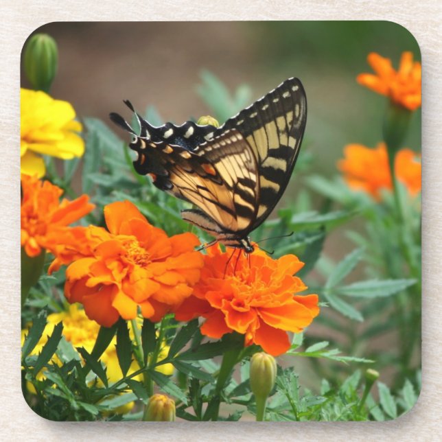 Butterfly In Garden Coaster Set (Front)