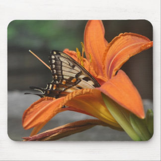 Butterfly in lily mousepad