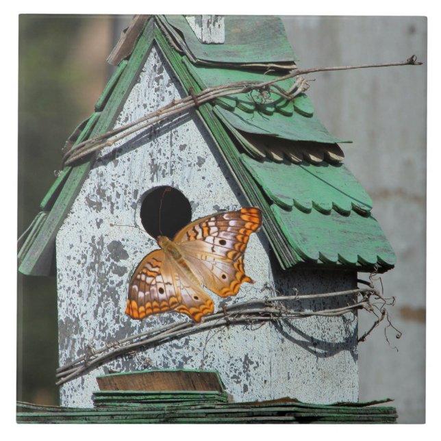 Butterfly in the Birdhouse Tile (Front)