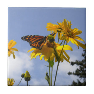 Butterfly in the Sky 3 Tile Trivet