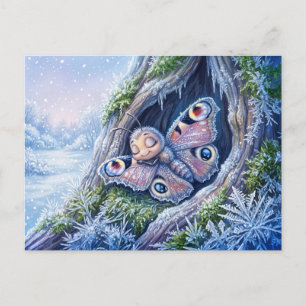 Butterfly in Winter Dormancy Covered in Frost Crys Postcard