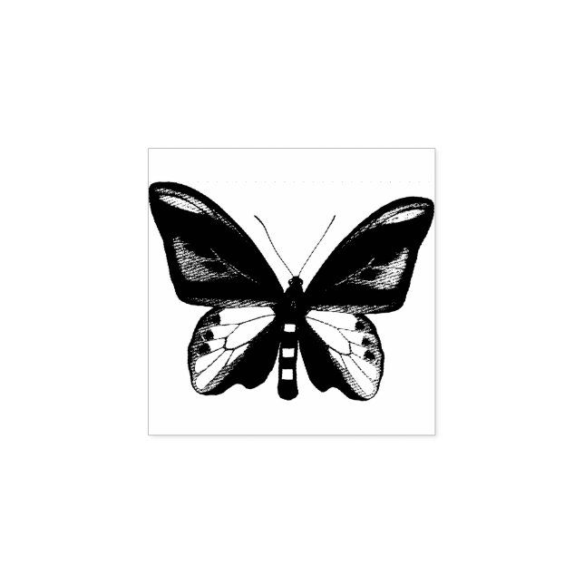Butterfly Insect Bug Original illustration art Rubber Stamp (Imprint)
