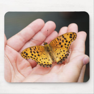 butterfly, insect, hand mouse mat