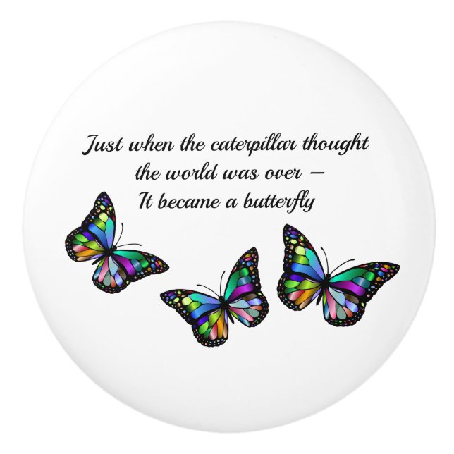 Butterfly Inspirational Encouragement Quote  Ceramic Knob (Front)