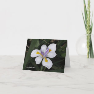 Butterfly Iris Card