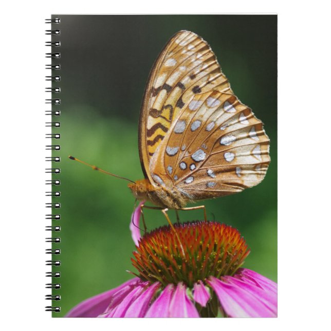 Butterfly Journal (Front)