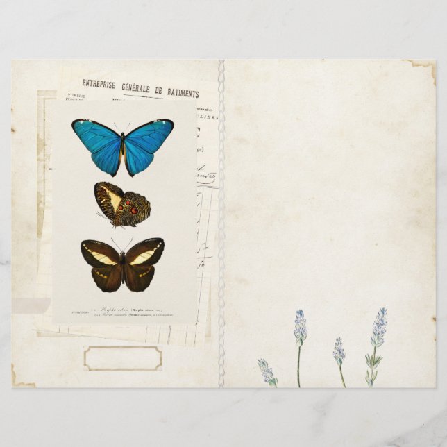 Butterfly Junk Journal Page Front/Back Vintage  (Front)