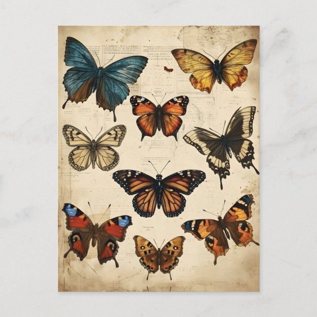 Butterfly Kaleidoscope: Vintage Postcard (Front)