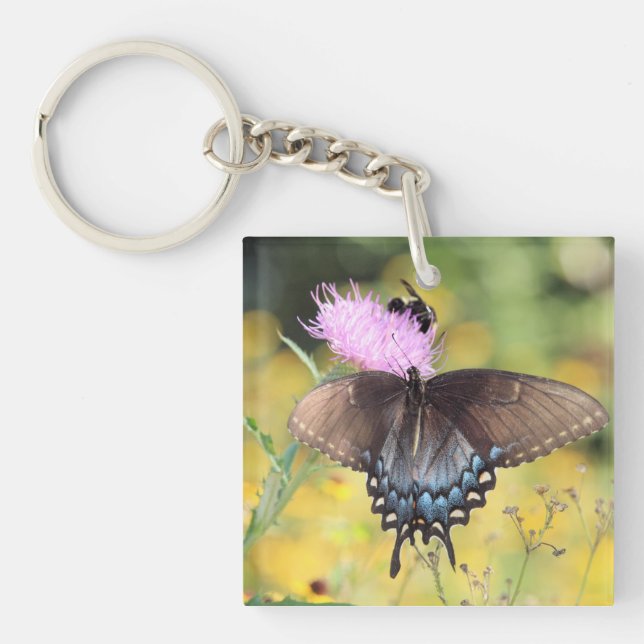 Butterfly    key ring (Front)