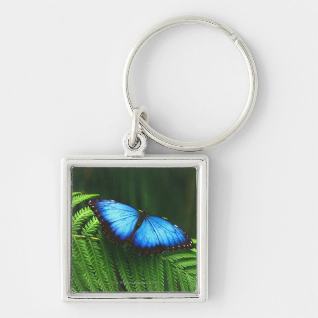 butterfly key ring (Front)