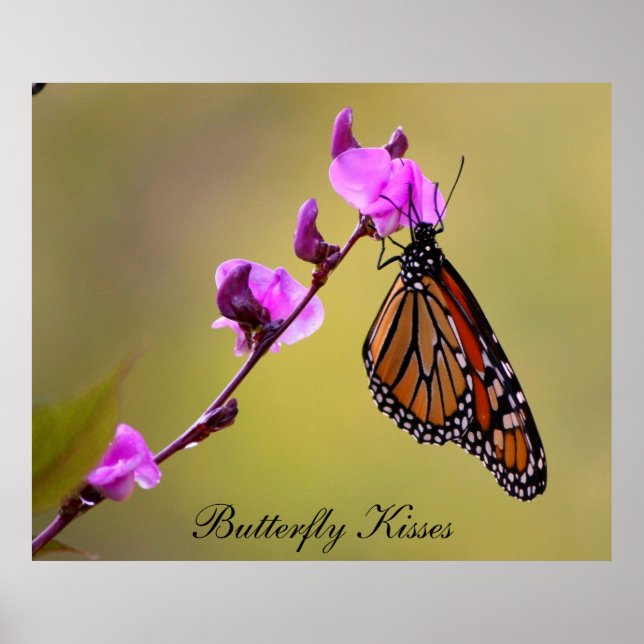 Butterfly Kisses Poster (Front)