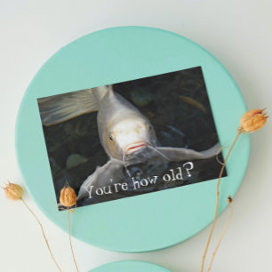 Butterfly Koi Photo Funny Birthday Card