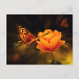 Butterfly Landing on Flower Postcard