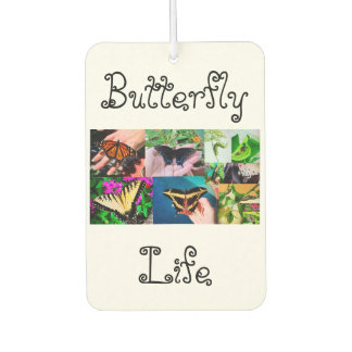 Butterfly Life Car Air Freshener