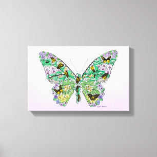 Butterfly Life Cycle Canvas Print