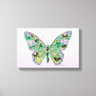 Butterfly Life Cycle Canvas Print
