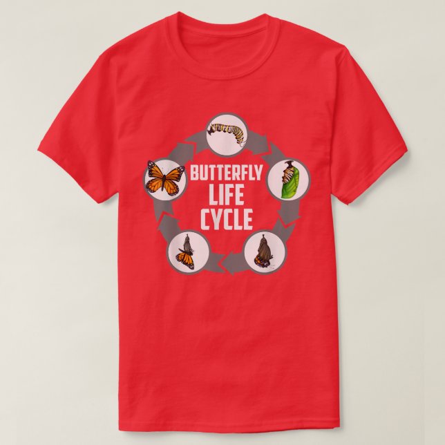 Butterfly Life Cycle Caterpillar Science Biology 1 T-Shirt (Design Front)