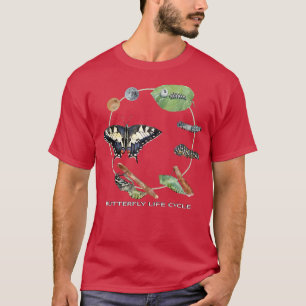 Butterfly Life Cycle Insect 4 Stage Specie Waterco T-Shirt