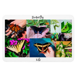 Butterfly Life Magnet