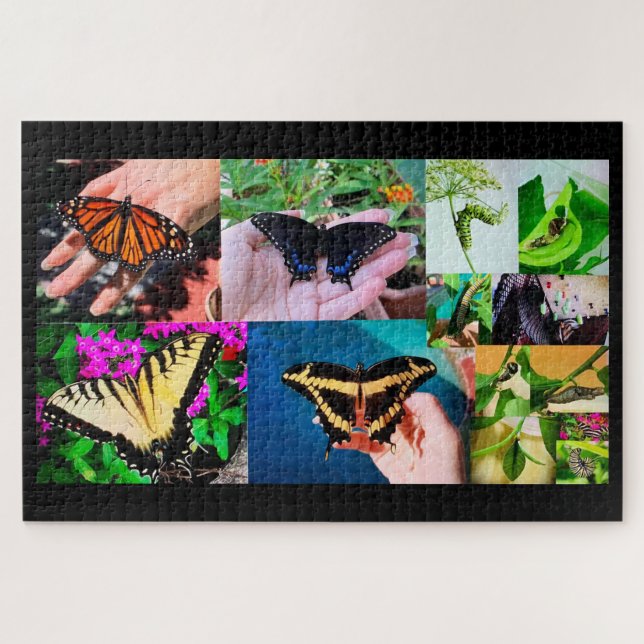Butterfly Life Puzzle (Horizontal)