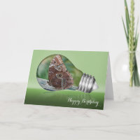 Butterfly Light Bulb