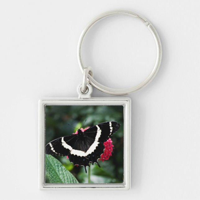 Butterfly Lolipop Keychain (Front)