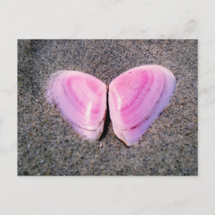 Butterfly made of seashells postcard