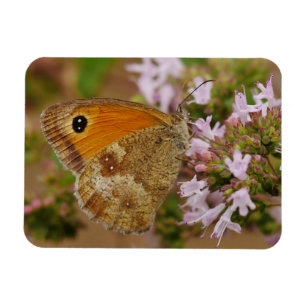 Butterfly Magnet