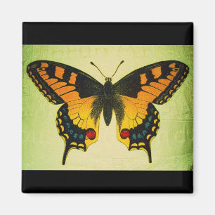 butterfly magnet