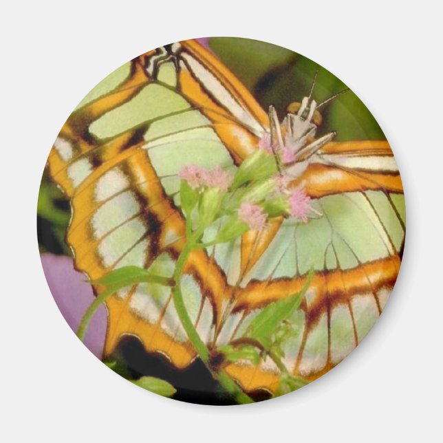 Butterfly Magnet (Front)