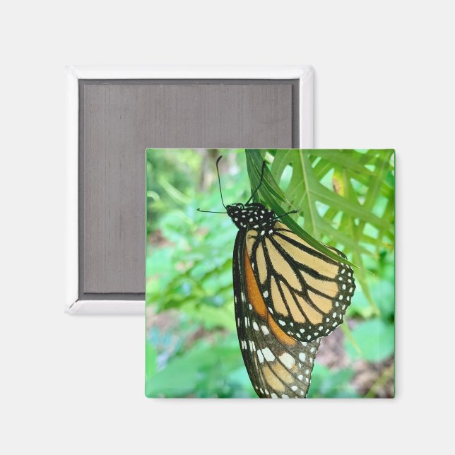 Butterfly Magnet (Front/Back)