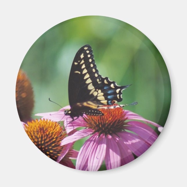 Butterfly Magnet (Front)