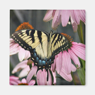 butterfly magnet