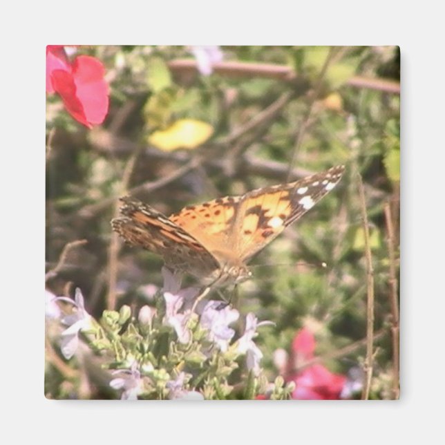 Butterfly Magnet (Front)