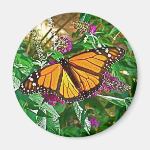 Butterfly Magnet, Monarch Magnet