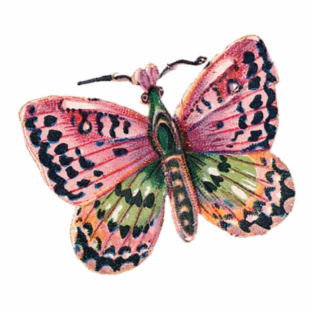 BUTTERFLY MAGNET PHOTO SCULPTURE MAGNET (Front)