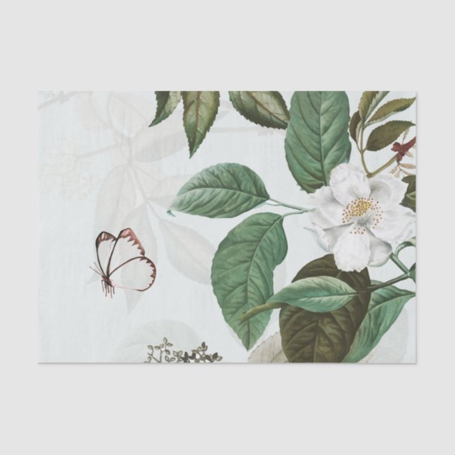BUTTERFLY MAGNOLIA Tissue Paper (Front)