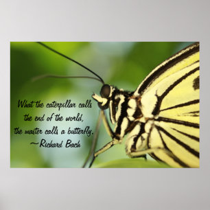 Butterfly Master Poster